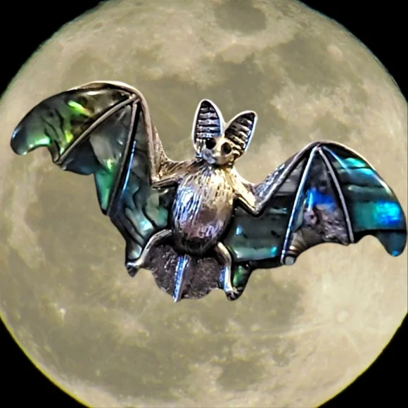 NWT Natural Rainbow Abalone Shell Silver Vampire Bat Necklace Pendant or Brooch - Picture 3 of 7